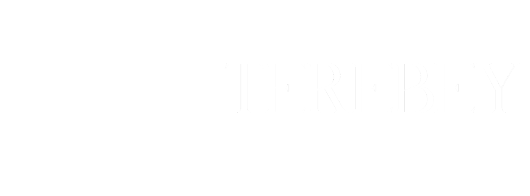 Terebey Relocation Team